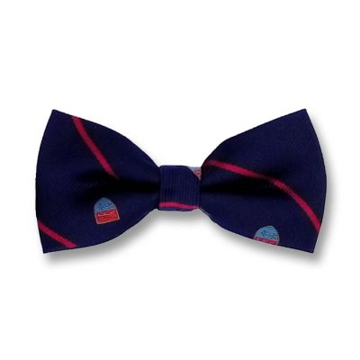 Midnight Blue, Chilli Pepper and Day Sky Blue Polyester Novelty Butterfly Bow Tie