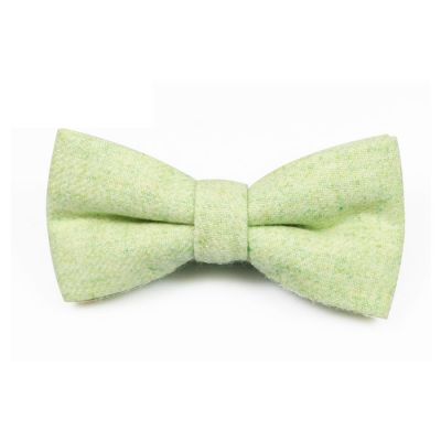 Mint green Cotton Solid Butterfly Bow Tie