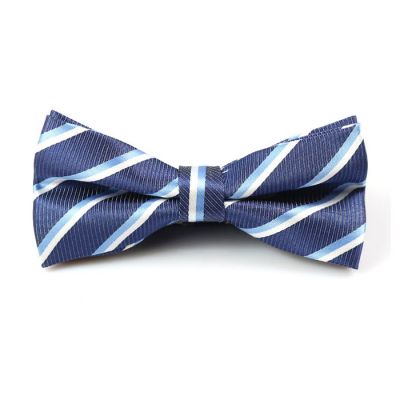Light Blue, White and Medium Purple Polyester Striped Butterfly Bow Tie