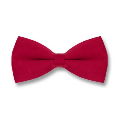 Red Wine Polyester Solid Skinny Bow Tie