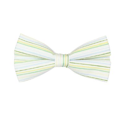 White, Mint green, Hummingbird Green and Orange Cotton Striped Butterfly Bow Tie