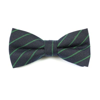 Dark Slate Grey and Green Apple Cotton Striped Butterfly Bow Tie